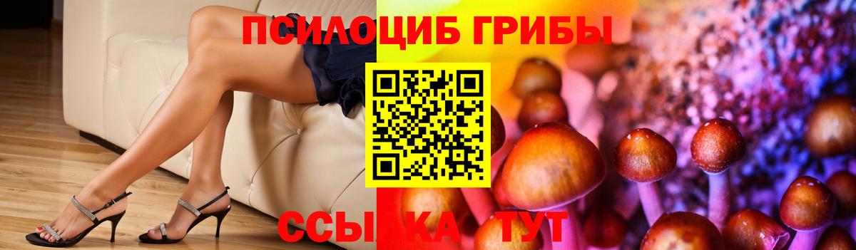 Галлюциногенные грибы Cubensis  Вход с VPN  Асбест 